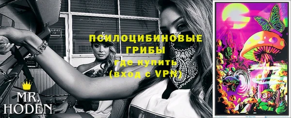 гидра Белоозёрский
